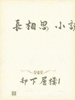 长相思 小说