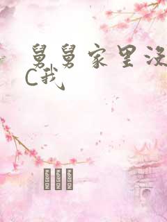 舅舅家里没人快C我