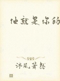 他就是你的新郎