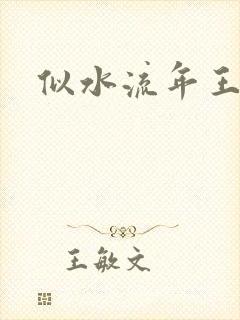 似水流年王小波