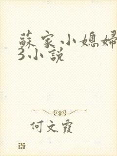 苏家小媳妇1V3小说