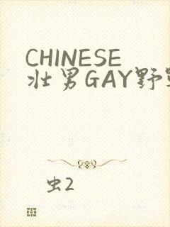 CHINESE壮男GAY野战强迫TUBE