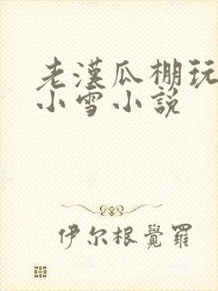 老汉瓜棚玩小丹小雪小说