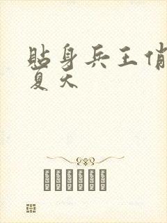 贴身兵王俏总裁夏天