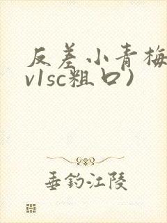 反差小青梅(1v1sc粗口)