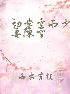 初尝云雨少妇人妻陈雪