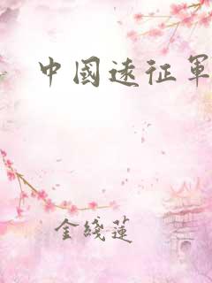 中国远征军小说