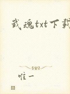 武魂txt下载