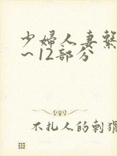 少妇人妻系列1～12部分