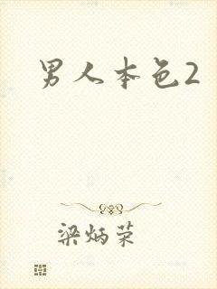 男人本色2