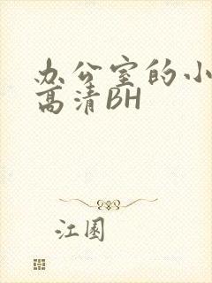 办公室的小秘书高清BH