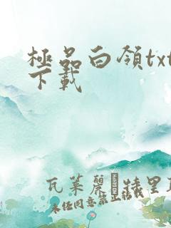 极品白领txt下载