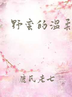野蛮的温柔