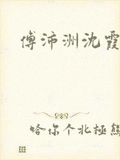 傅沛洲沈霞小说