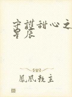 守护甜心之暗夜星辰