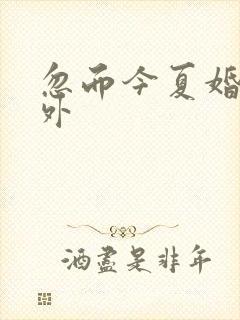 忽而今夏婚后番外