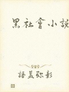 黑社会小说下载