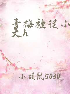 青梅被从小摸到大h