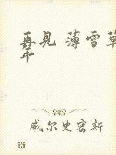 再见 薄雪草少年