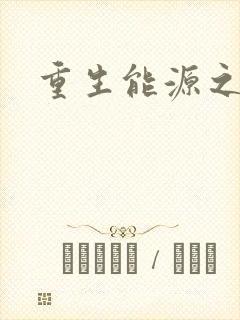 重生能源之王