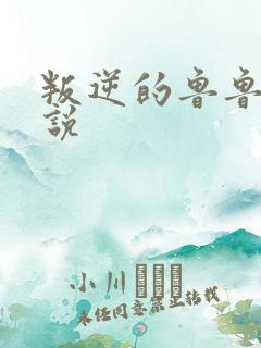 叛逆的鲁鲁修小说