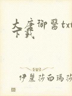 大唐御医txt下载