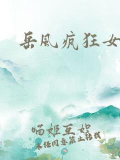 岳风疯狂女婿