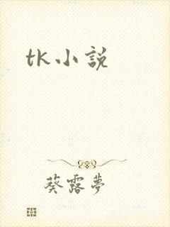tk小说