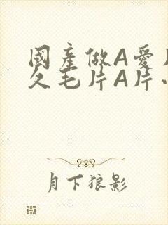 国产做A爱片久久毛片A片小说