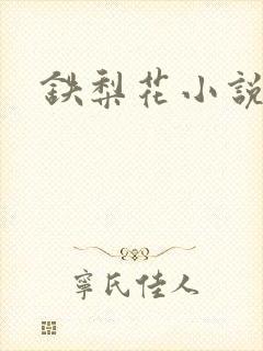 铁梨花小说