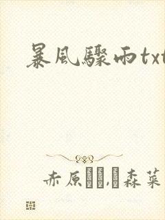 暴风骤雨txt