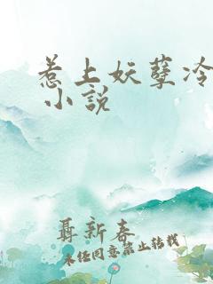 惹上妖孽冷殿下 小说