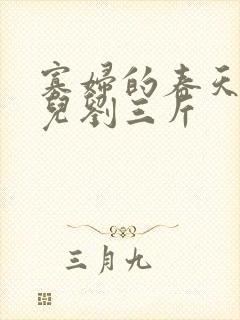 寡妇的春天白花儿刘三斤