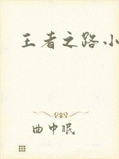 王者之路小说