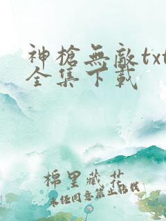 神枪无敌txt全集下载