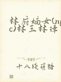 林府嫡女(npc)林玉林璋