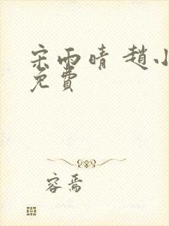 宋雨晴 赵小刚免费