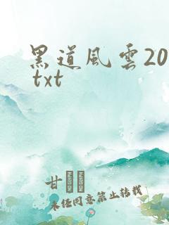 黑道风云20年 txt