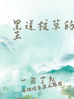 黑道校草的冷公主