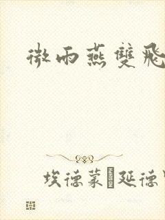 微雨燕双飞小说