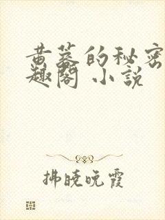 黄蓉的秘密 笔趣阁 小说