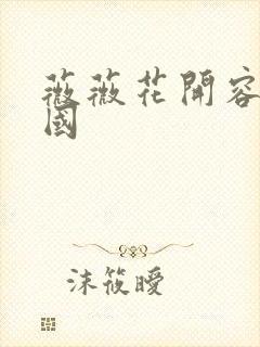 薇薇花开容颜倾国