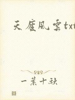 天庐风云txt