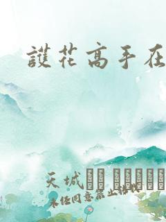 护花高手在江湖