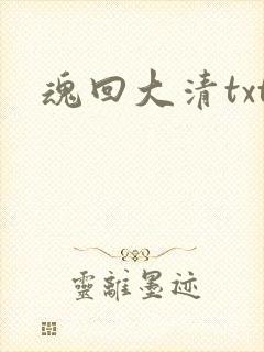 魂回大清txt