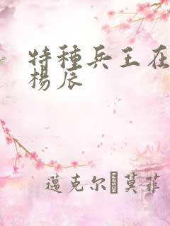 特种兵王在都市杨辰