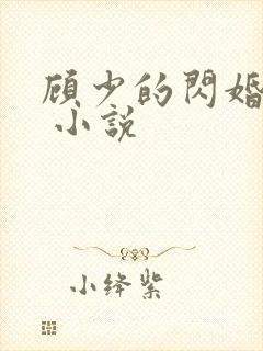 顾少的闪婚宠妻 小说