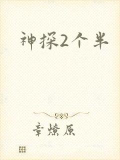 神探2个半