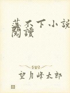 落不下小说免费阅读