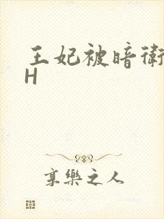 王妃被暗卫肉高H